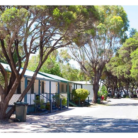 Discovery Parks - Coogee Beach Bagian luar foto