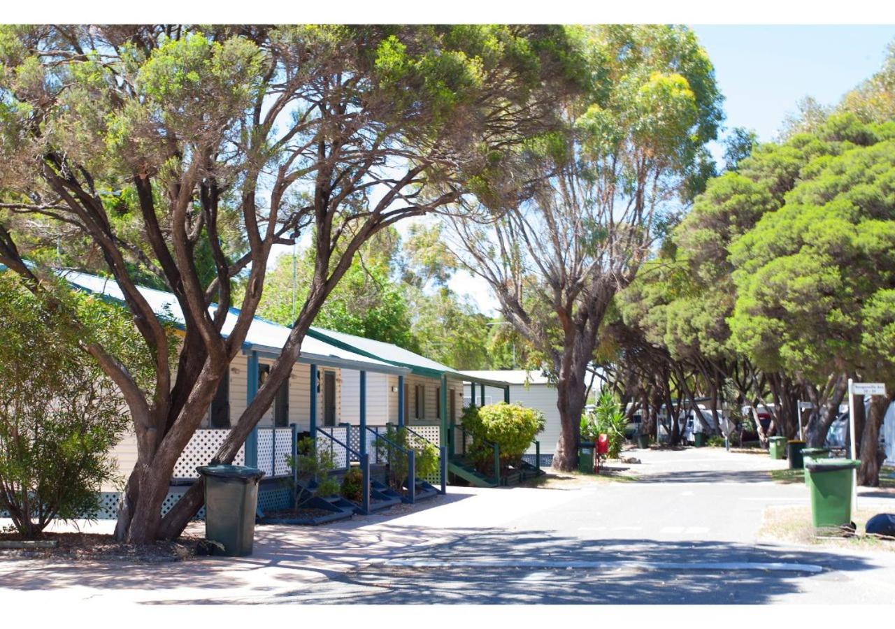 Discovery Parks - Coogee Beach Bagian luar foto